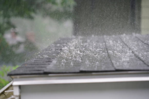 Best Roof Repair  in Trinity, FL