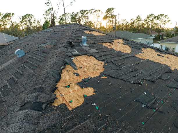 Best Hot Roofs  in Trinity, FL
