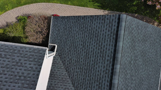 Best Asphalt Shingle Roofing  in Trinity, FL