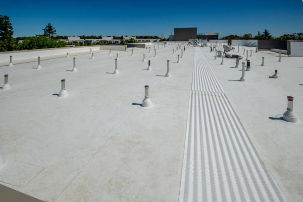 Best Roof Leak Repair  in Trinity, FL