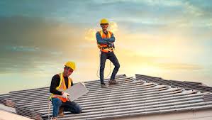 Best Roof Moss and Algae Removal  in Trinity, FL